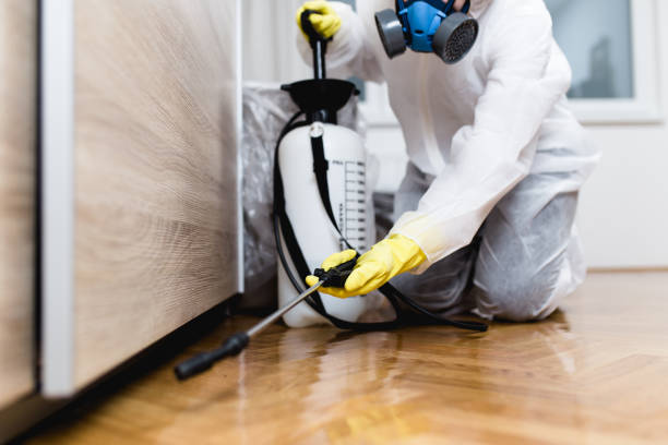 Best Affordable Pest Control Services  in Kenmar, PA