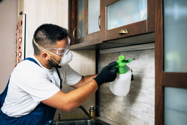 Best Wasp Removal Services  in Kenmar, PA